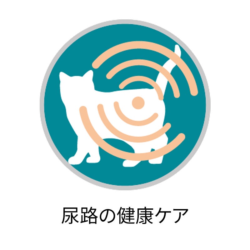 下部尿路の健康維持 F.L.U.T.H.ケア チキン - ピュリナ ワン キャット